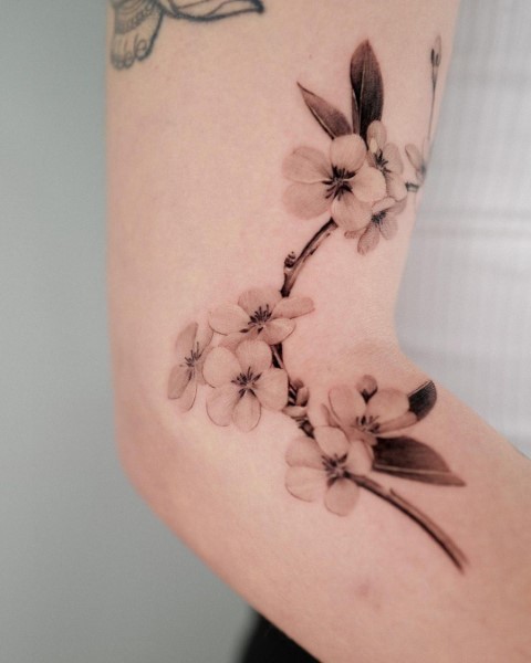 black and grey hannya mask with cherry blossoms tattoo, Tim McEvoy Art  Junkies tattoo by Tim Mcevoy: TattooNOW